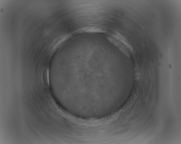 X0000073720014200608171215