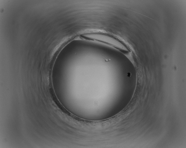 X0000073720015200608171215