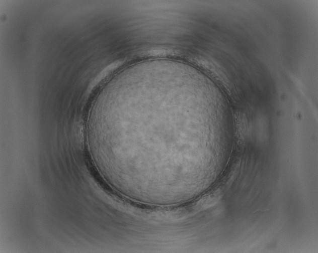 X0000073720016200608171215