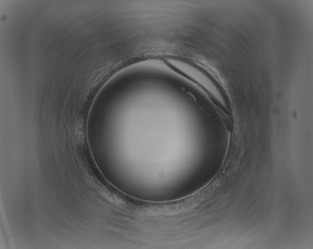 X0000073720017200608171215