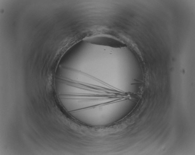 X0000073720018200608171215