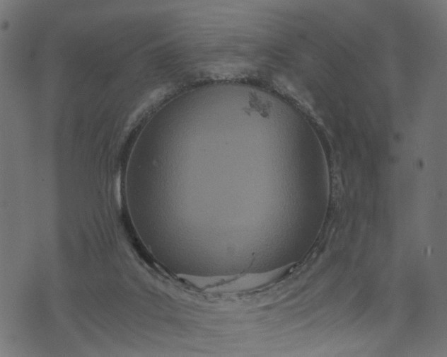 X0000073720019200608171215