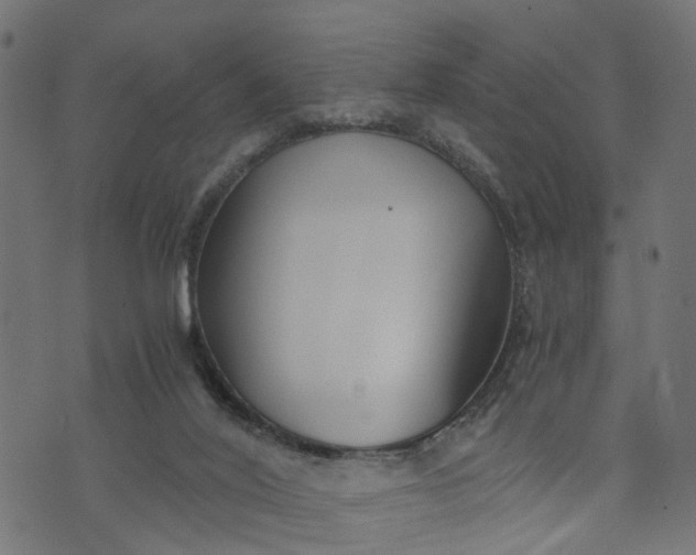 X0000073720020200608171215