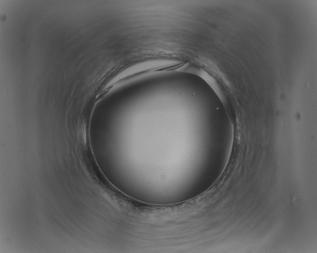 X0000073720021200608171215