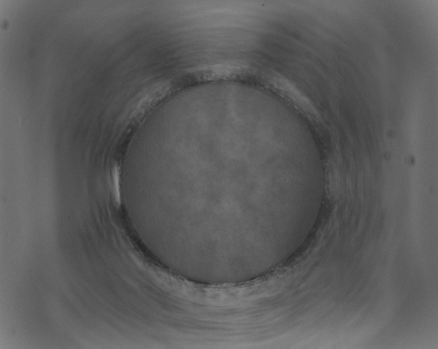 X0000073720022200608171215