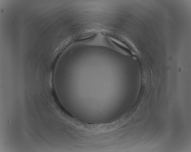 X0000073720023200608171215