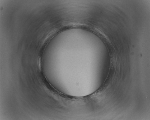 X0000073720024200608171215