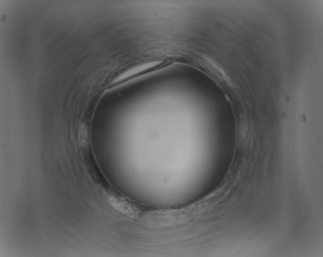 X0000073720025200608171215