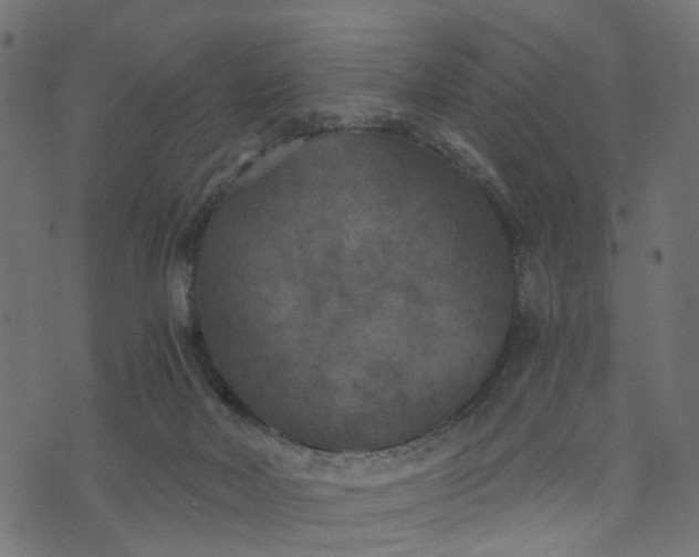 X0000073720026200608171215