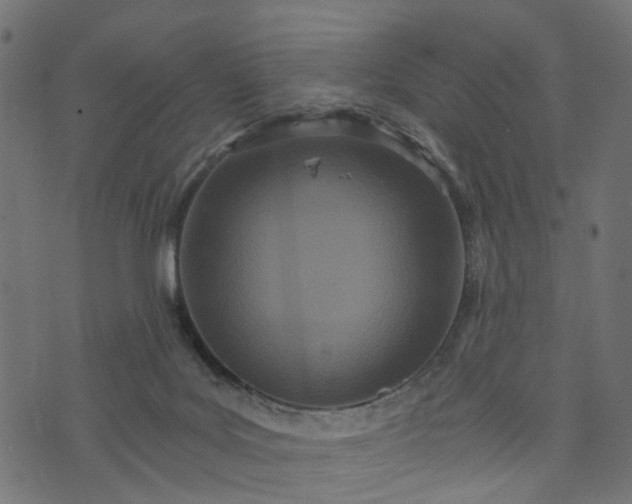 X0000073720027200608171215