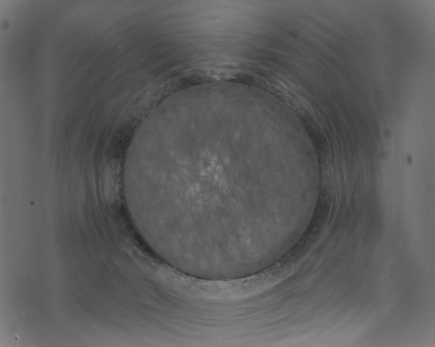 X0000073720030200608171215