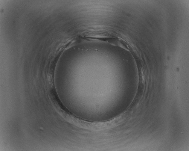 X0000073720031200608171215