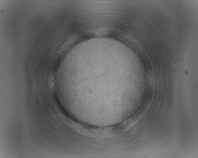 X0000073720032200608171215