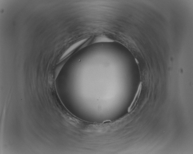 X0000073720033200608171215