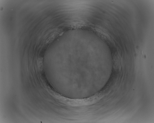 X0000073720034200608171215