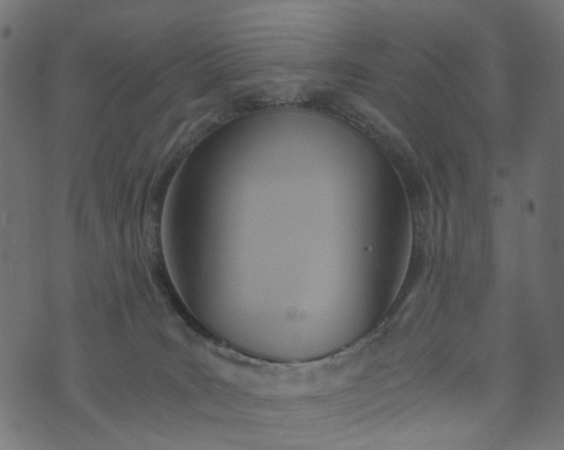 X0000073720035200608171215