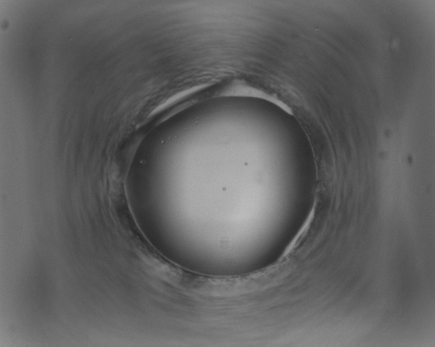 X0000073720037200608171215