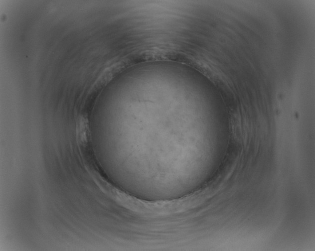 X0000073720038200608171215