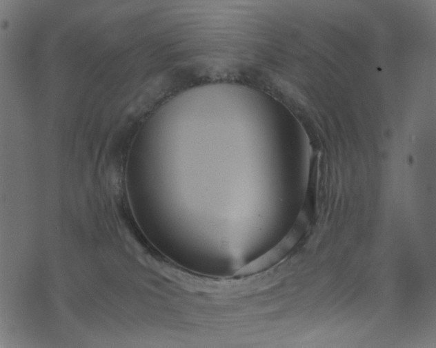 X0000073720039200608171215