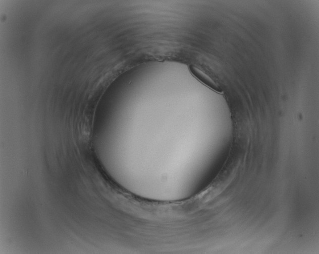 X0000073720040200608171215