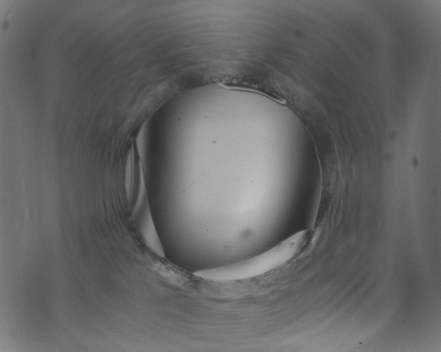 X0000073720041200608171214