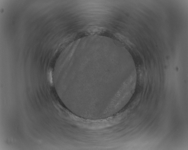 X0000073720042200608171214