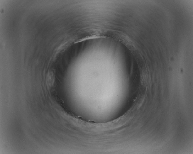 X0000073720043200608171214