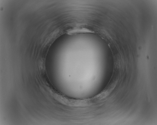 X0000073720044200608171214