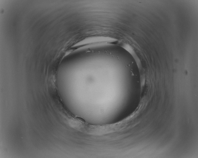 X0000073720045200608171214