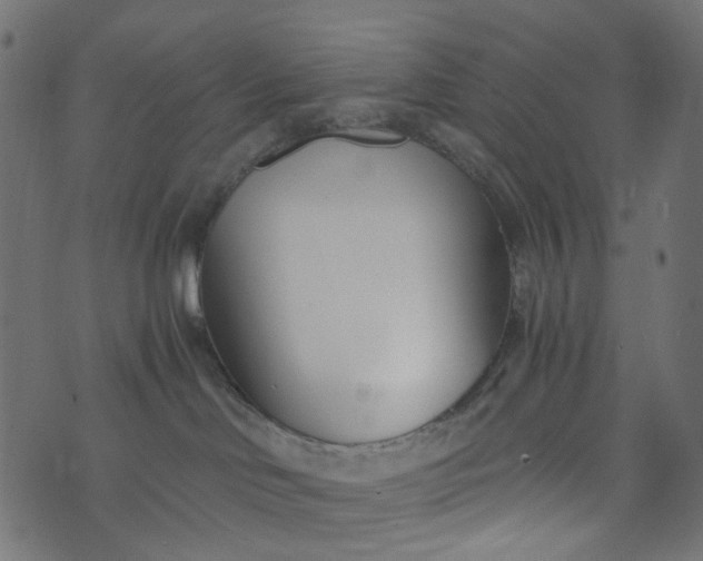 X0000073720046200608171214