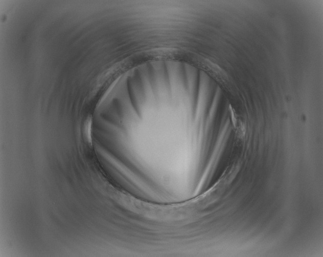 X0000073720047200608171214