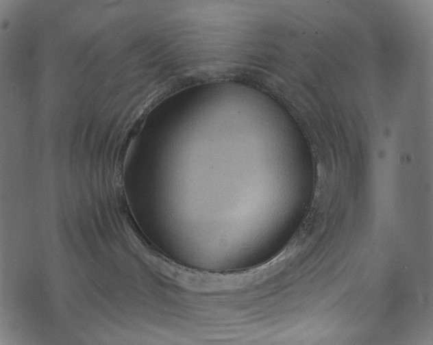 X0000073720048200608171214