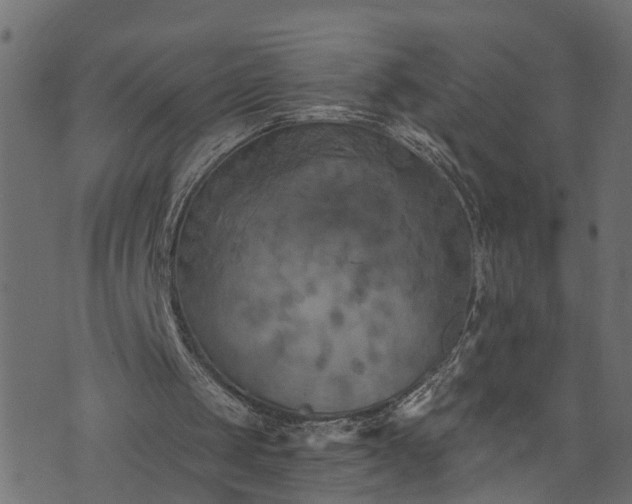 X0000073720049200608171214