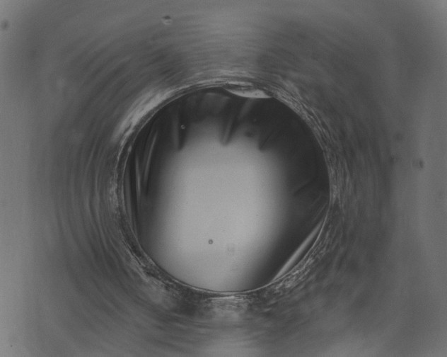 X0000073720050200608171214