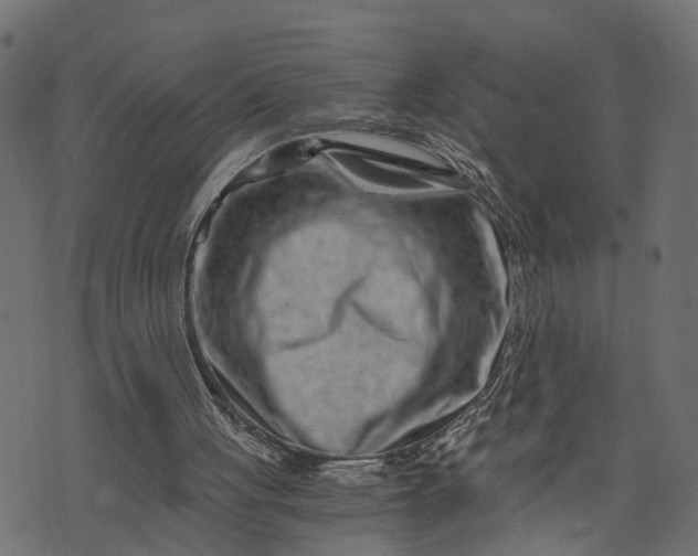 X0000073720051200608171214