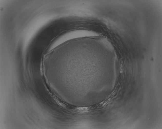 X0000073720052200608171214