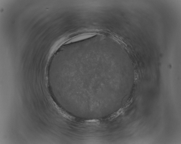 X0000073720053200608171214