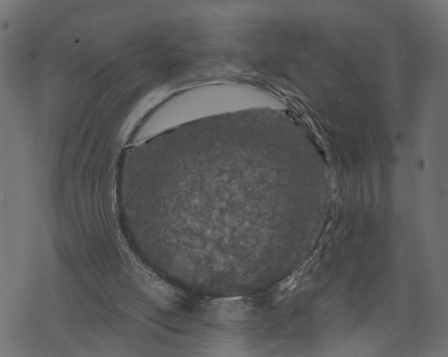 X0000073720054200608171214