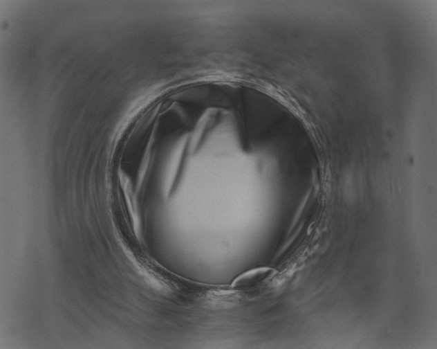 X0000073720055200608171214