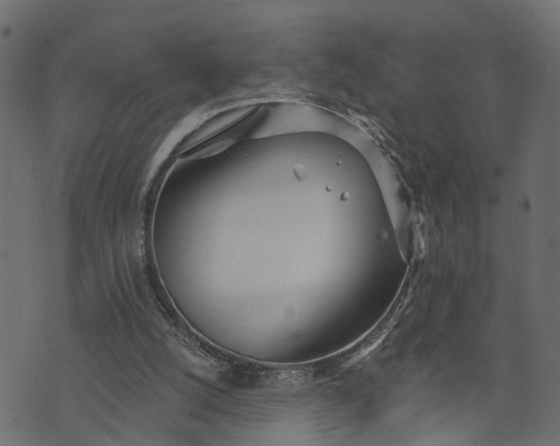 X0000073720056200608171214