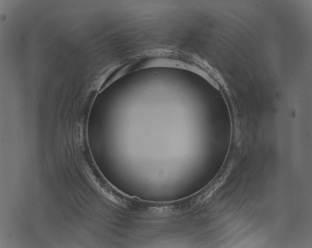 X0000073720057200608171214