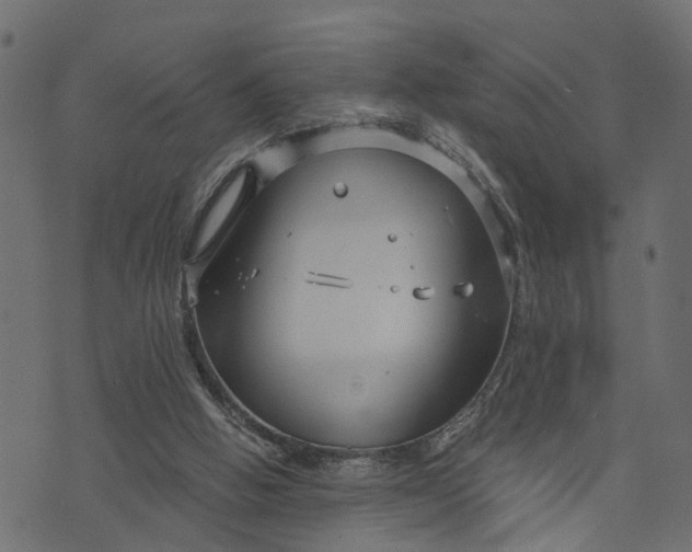 X0000073720058200608171214