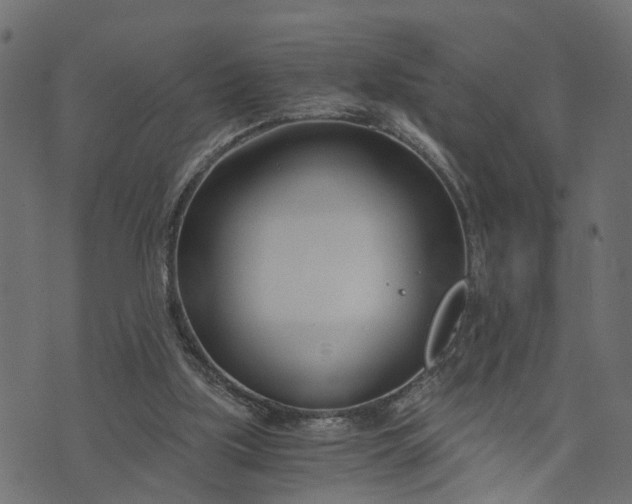 X0000073720059200608171214