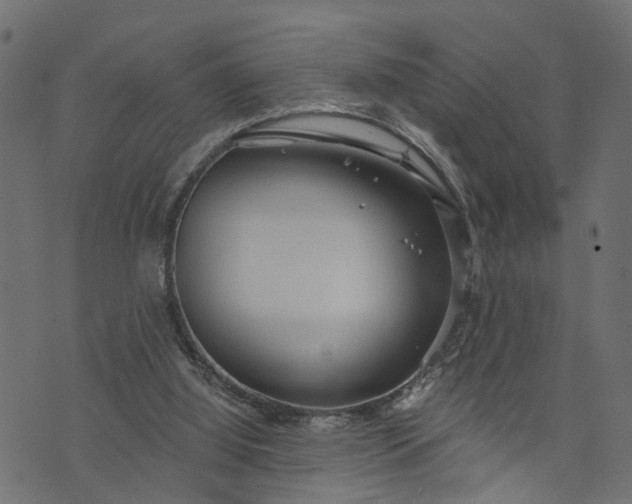 X0000073720060200608171214