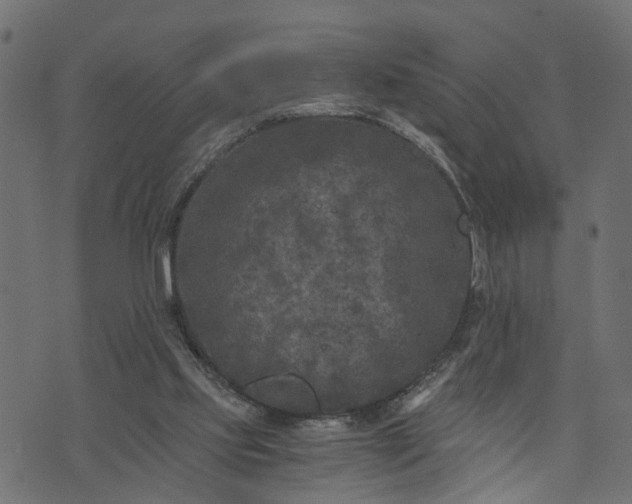 X0000073720061200608171214