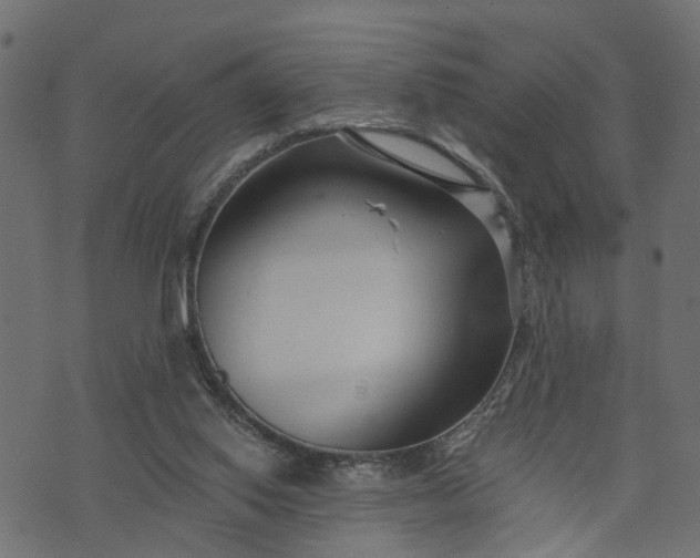 X0000073720062200608171214