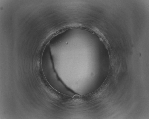 X0000073720063200608171214