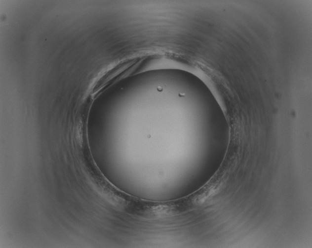 X0000073720064200608171214