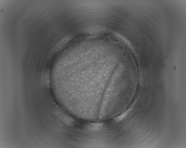 X0000073720065200608171214