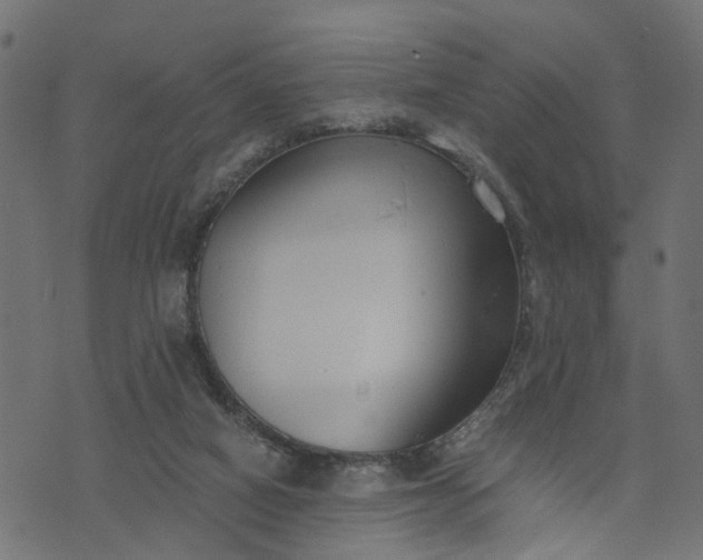 X0000073720066200608171214